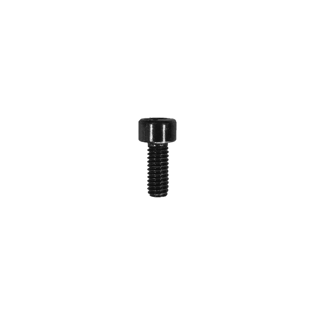 Nexx Spare Parts PEAK SCREW LONG X.WED2